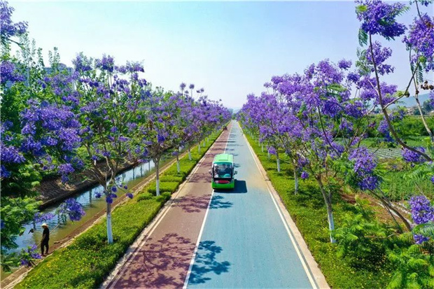 云南旅游,云南旅行社,云南團(tuán)建公司,云南策劃公司,云南會議會展,紅河旅游,紅河旅行社,紅河團(tuán)建公司,紅河策劃公司,紅河會議會展：初夏的紅河，絕美！