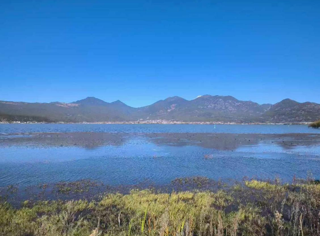 云南旅游,云南旅行社,云南團建公司,云南策劃公司,云南會議會展,麗江旅游,麗江旅行社,麗江團建公司,麗江策劃公司：麗江拉市海自然保護區(qū)迎來越冬候鳥 收藏這份基礎(chǔ)觀鳥指南